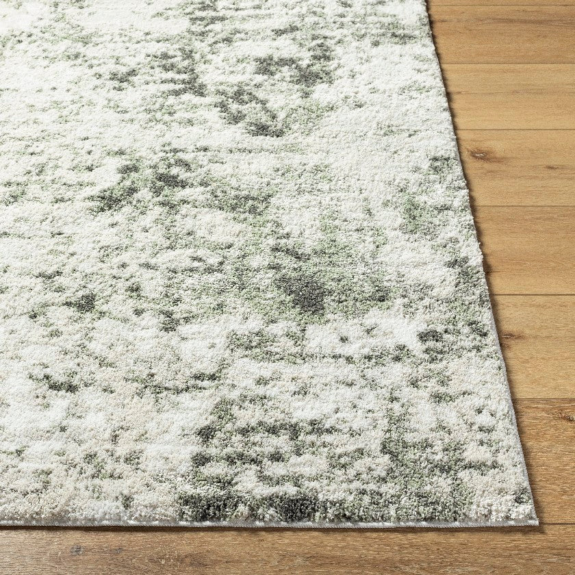Jeaninne Solid and Border Dark Olive Area Rug