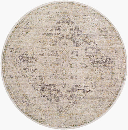 Sandrea Traditional Light Brown Area Rug