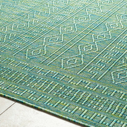 Benjaman Bohemian Dark Green Area Rug