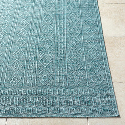 Benjaman Bohemian Dusty Sage Area Rug