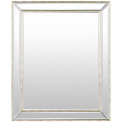 Alece Traditional Champagne Wall Mirror