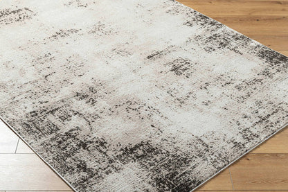 Shamille Rustic Ivory/Charcoal Area Rug