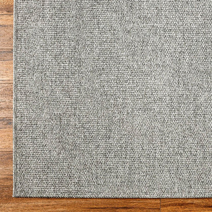 Birdie Solid and Border Silver Area Rug - Becki Owens x Livabliss