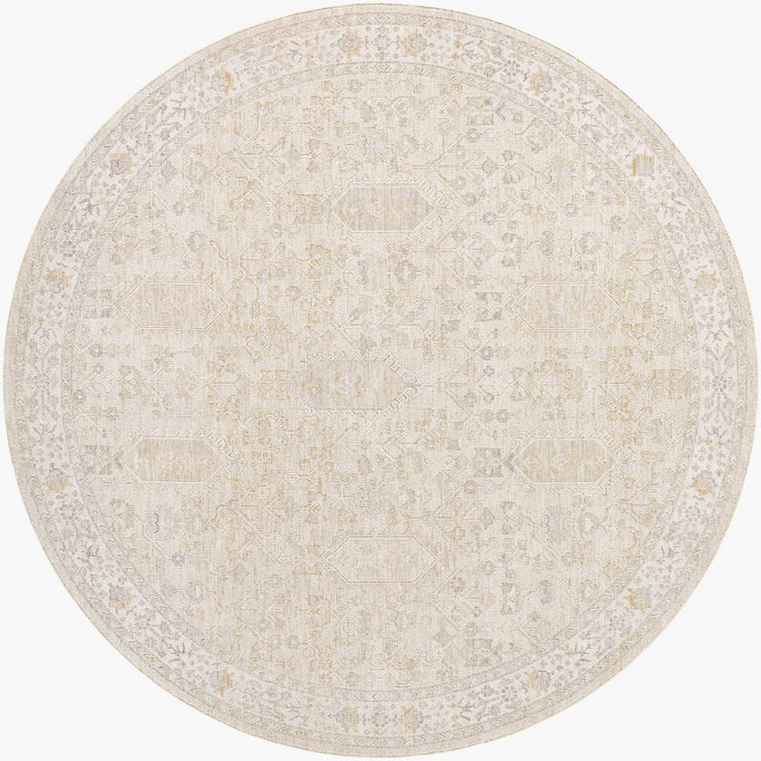 Krissa Traditional Light Silver Area Rug