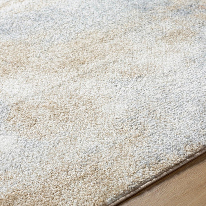 Linda Solid and Border Tan/Light Gray Area Rug