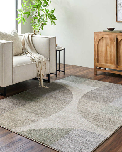 Ananda Modern Light Gray Area Rug