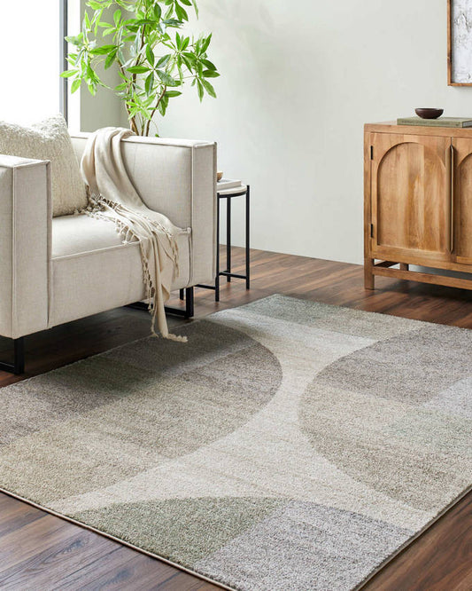 Ananda Modern Light Gray Area Rug