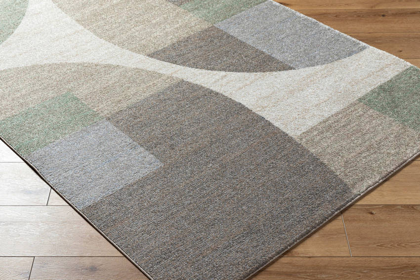 Ananda Modern Light Gray Area Rug