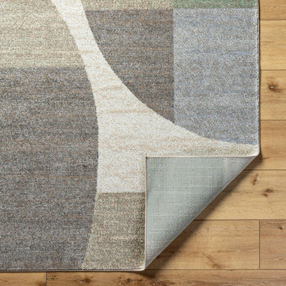 Ananda Modern Light Gray Area Rug