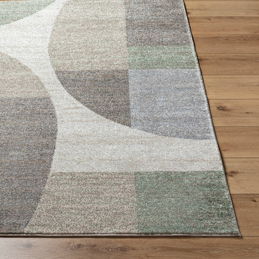 Ananda Modern Light Gray Area Rug