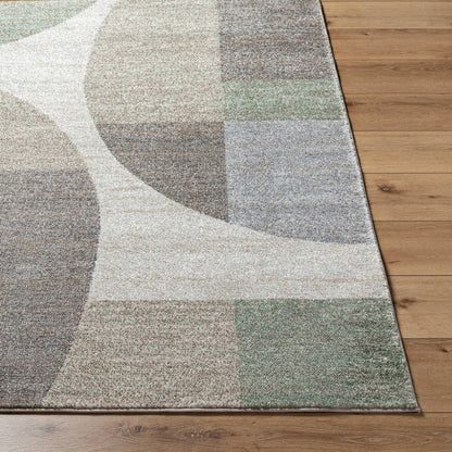 Ananda Modern Light Gray Area Rug