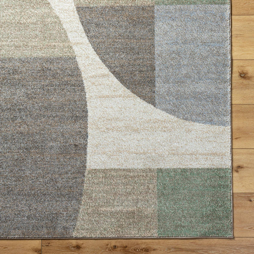 Ananda Modern Light Gray Area Rug