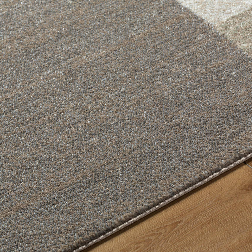 Ananda Modern Light Gray Area Rug