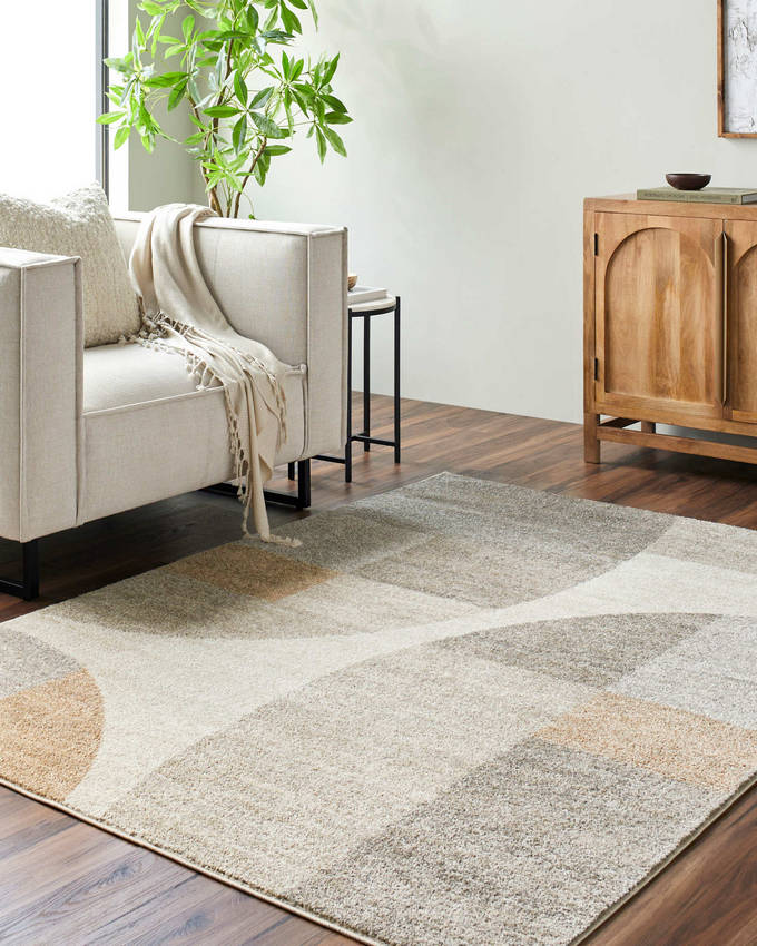 Ananda Modern Light Brown Area Rug