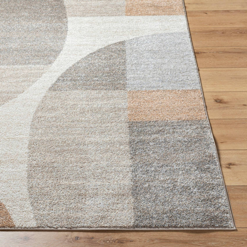 Ananda Modern Light Brown Area Rug