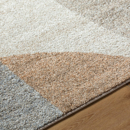 Ananda Modern Light Brown Area Rug