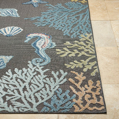 Parth Coastal Charcoal/Blue Area Rug