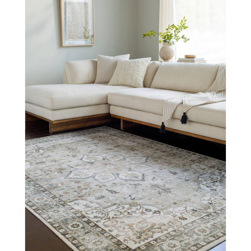 Chelcey Traditional Ash Washable Area Rug