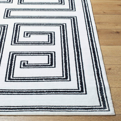 Staley Modern Black Washable Area Rug