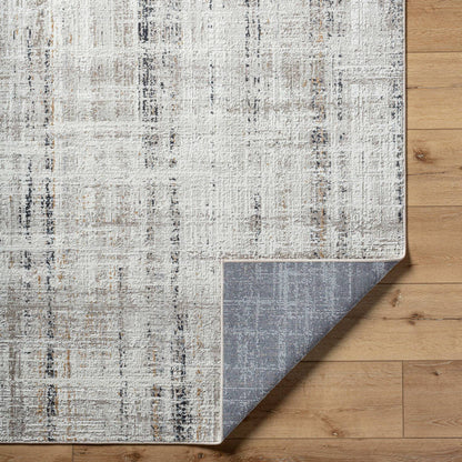 Neutal Rustic Light Gray Area Rug