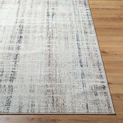 Neutal Rustic Light Gray Area Rug