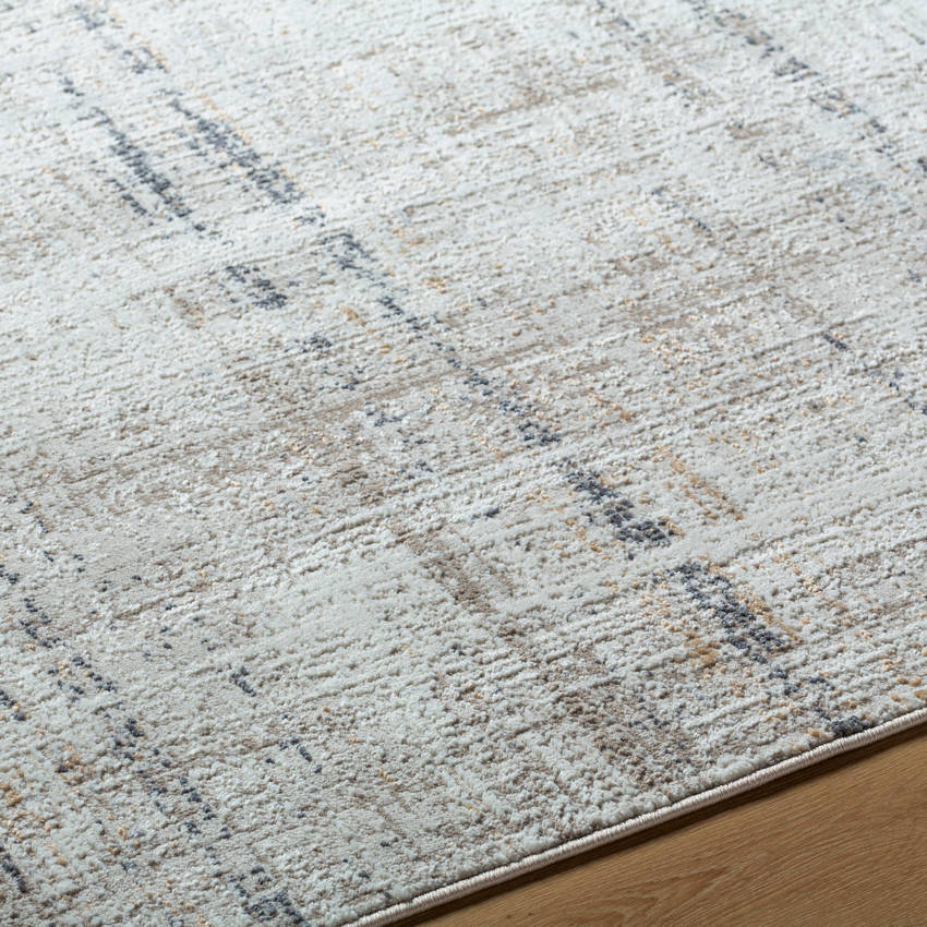 Neutal Rustic Light Gray Area Rug