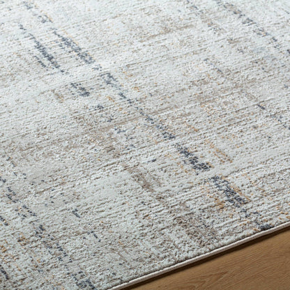 Neutal Rustic Light Gray Area Rug