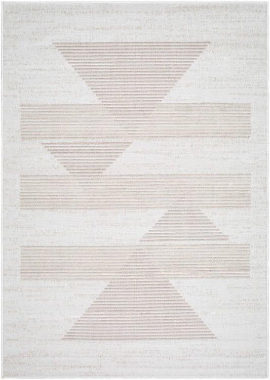 Plasmolen Modern Gray Area Rug