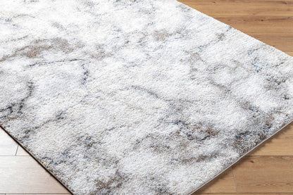 Bonfield Modern Light Silver Area Rug