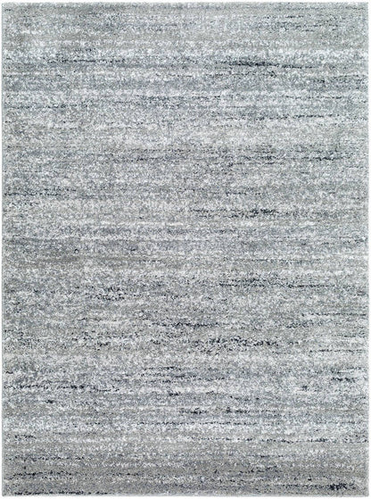 Rayla Modern Light Silver Area Rug