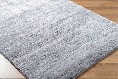 Rayla Modern Light Silver Area Rug