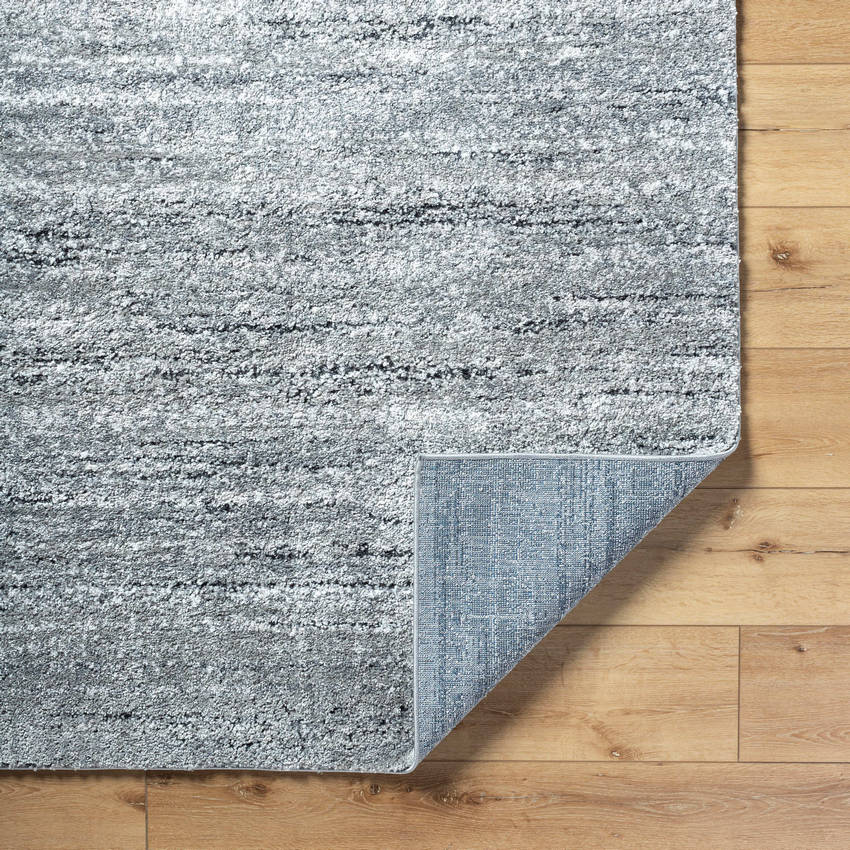 Rayla Modern Light Silver Area Rug