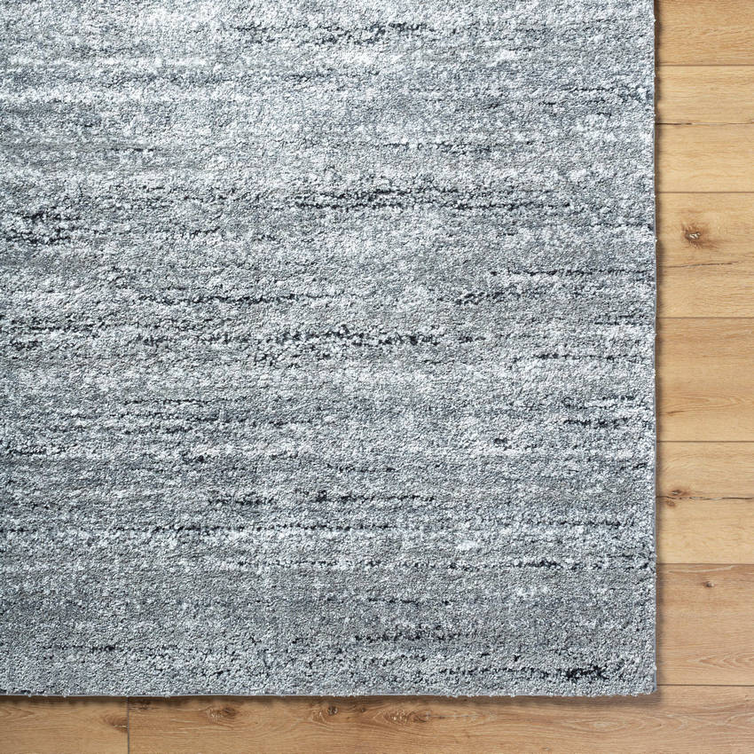 Rayla Modern Light Silver Area Rug