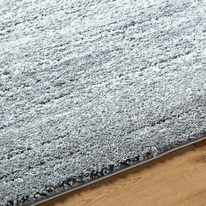 Rayla Modern Light Silver Area Rug