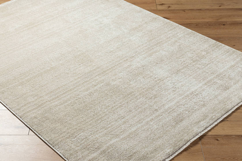 Rasheed Modern Taupe Area Rug