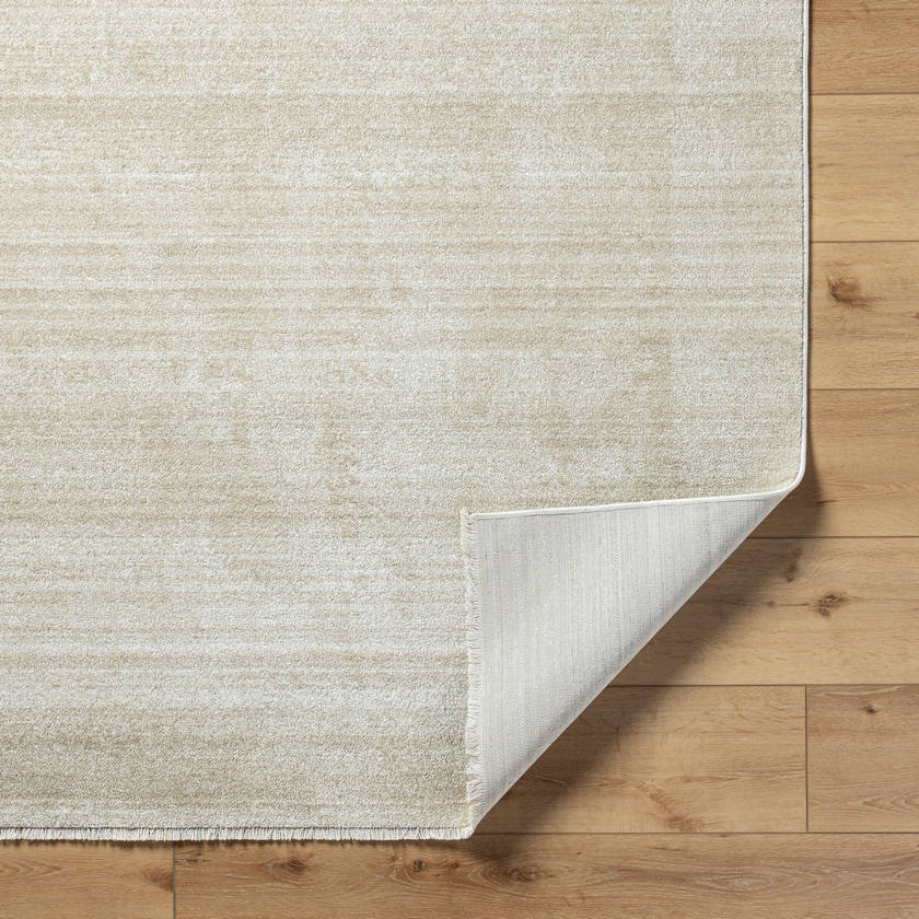 Rasheed Modern Taupe Area Rug
