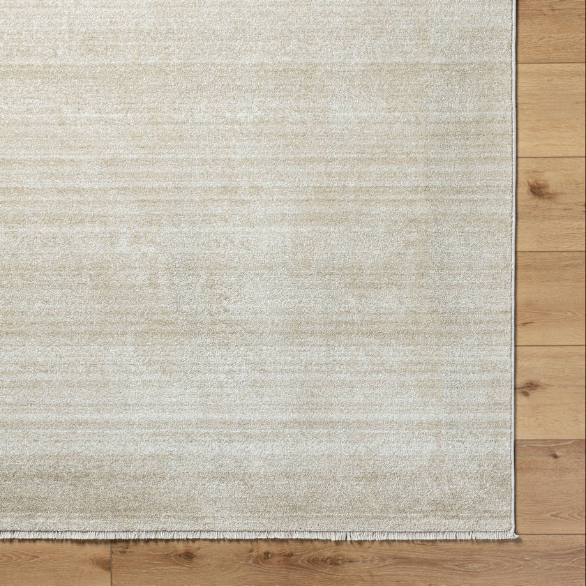 Rasheed Modern Taupe Area Rug