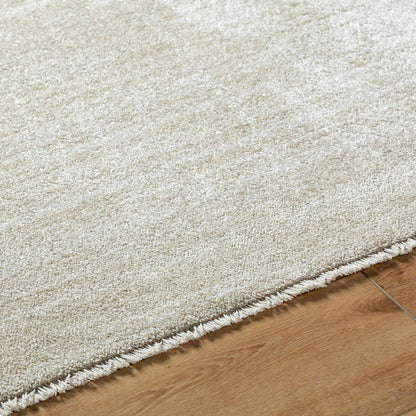 Rasheed Modern Taupe Area Rug