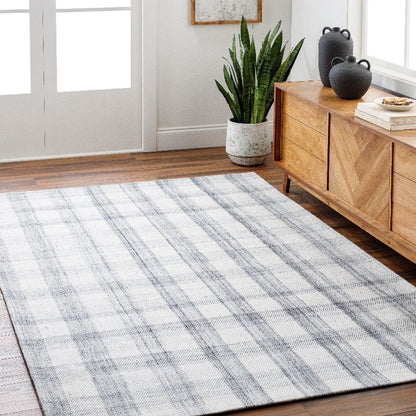Sammy Modern Light Silver/Ash Area Rug - Becki Owens x Livabliss