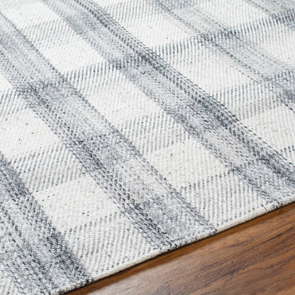 Sammy Modern Light Silver/Ash Area Rug - Becki Owens x Livabliss