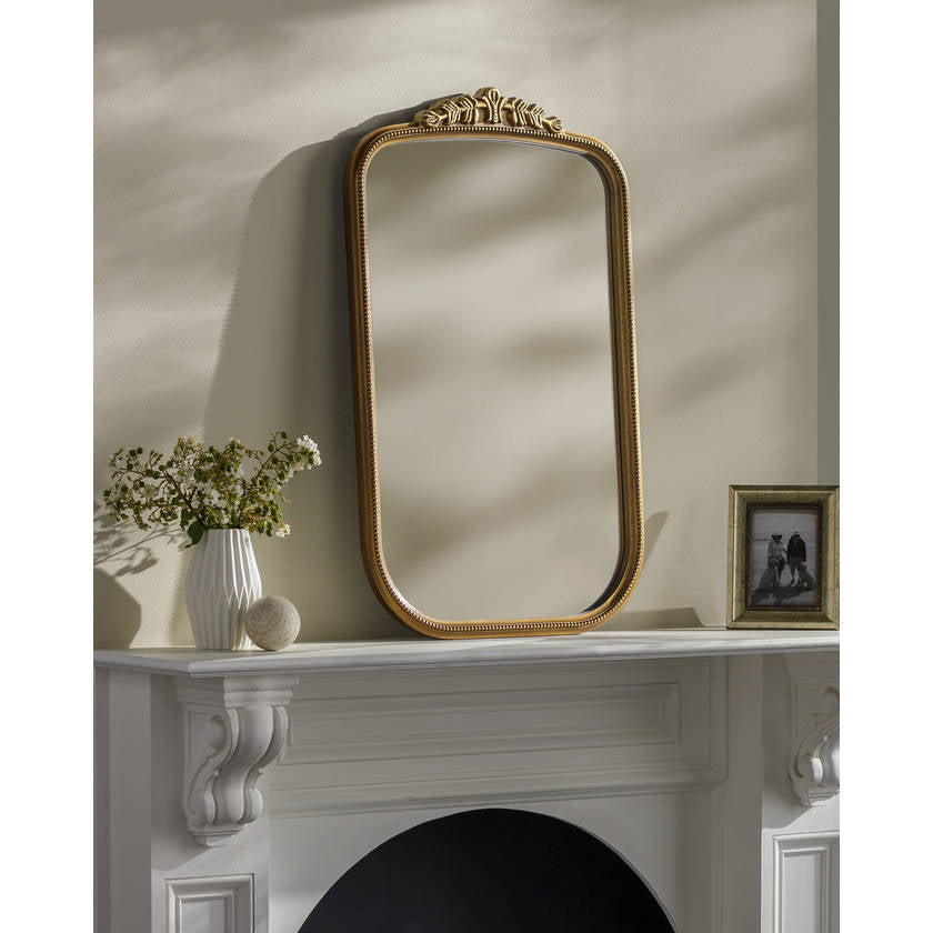 Coralee Traditional Gold Wall Mirror