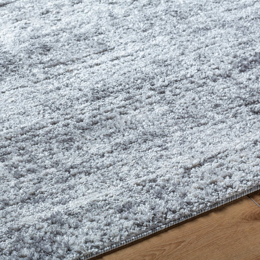 Waylon Cottage Light Silver Area Rug