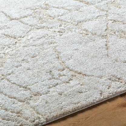 Dustee Cottage Light Silver Area Rug