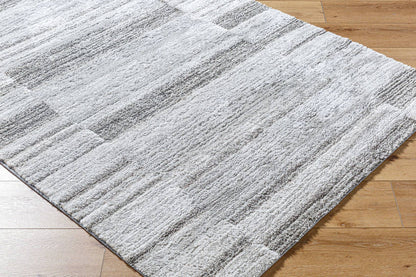 Allyce Global Medium Gray Area Rug