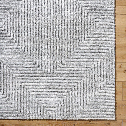 Rajan Global Light Gray Area Rug
