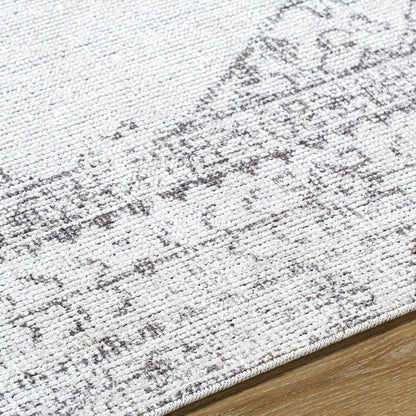 Olympic Traditional Tan/Cream Area Rug - Our PNW Home x Livabliss