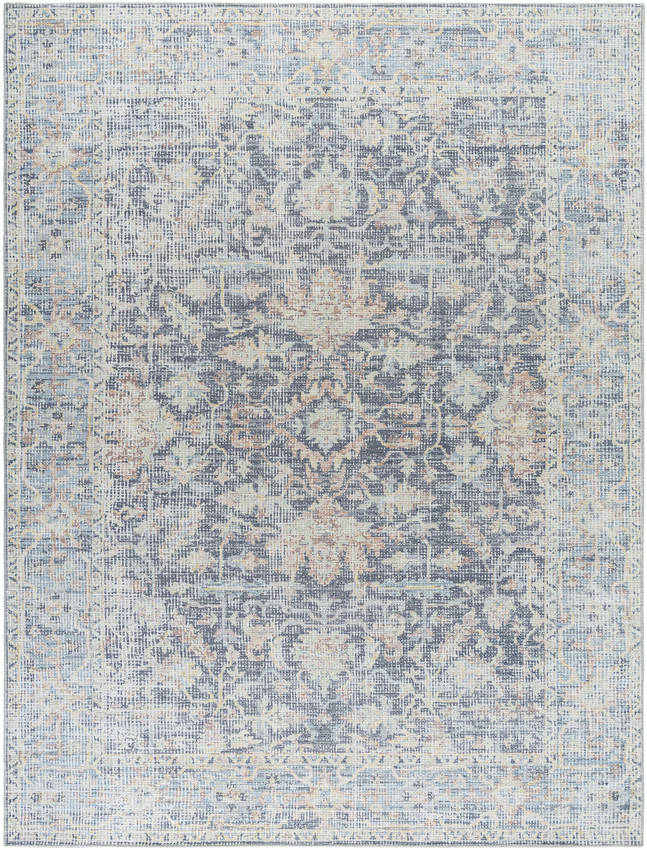 Olympic Traditional Charcoal/Sky Blue Area Rug - Our PNW Home x Livabliss
