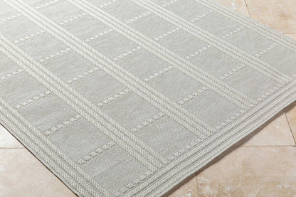 Pinar Global Light Gray Area Rug
