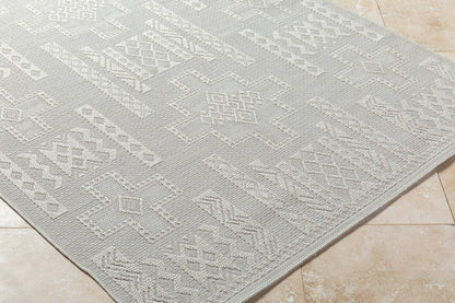 Towana Modern Light Gray Area Rug