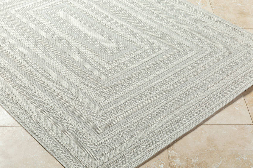 Zenia Cottage Light Gray Area Rug
